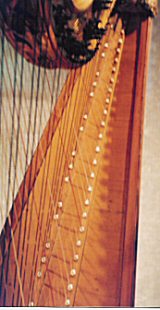 Bruxelles cross harp